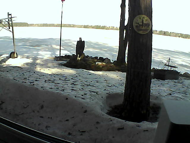 Whiteface Cam Image - Wed, 04/08/2020 9:13am 