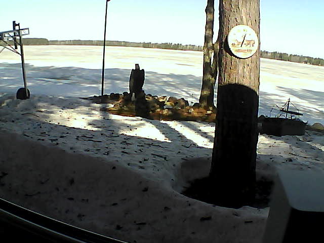 Whiteface Cam Image - Wed, 04/08/2020 9:33am 