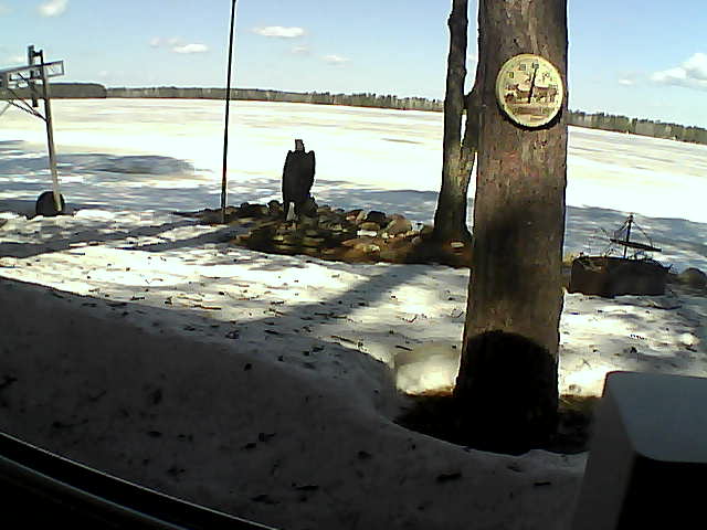 Whiteface Cam Image - Wed, 04/08/2020 11:13am 