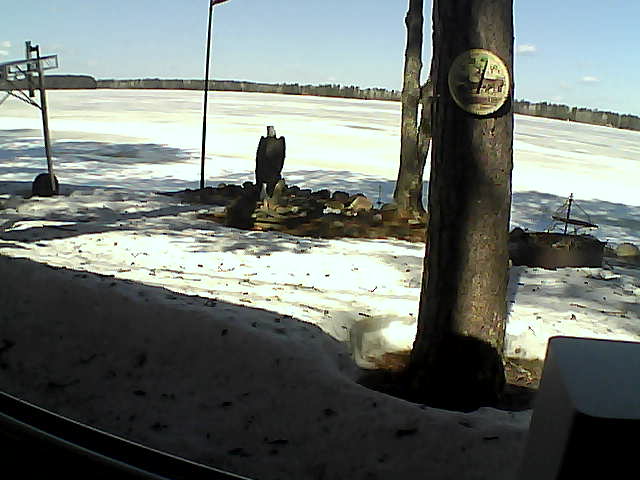 Whiteface Cam Image - Wed, 04/08/2020 11:33am 