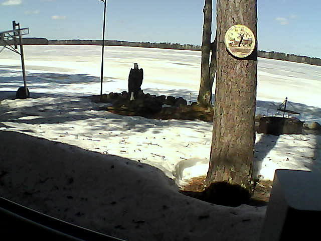 Whiteface Cam Image - Wed, 04/08/2020 11:53am 