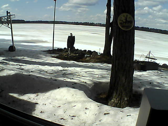 Whiteface Cam Image - Wed, 04/08/2020 2:23pm 