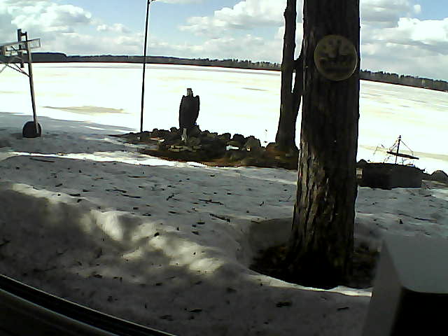 Whiteface Cam Image - Wed, 04/08/2020 3:13pm 