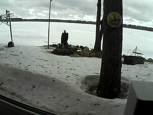Whiteface Cam Image - Thu, 04/09/2020 8:30am 