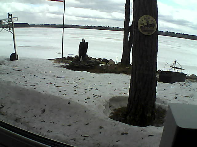 Whiteface Cam Image - Thu, 04/09/2020 11:40am 