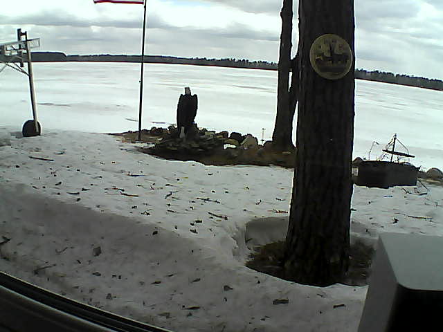 Whiteface Cam Image - Thu, 04/09/2020 11:50am 