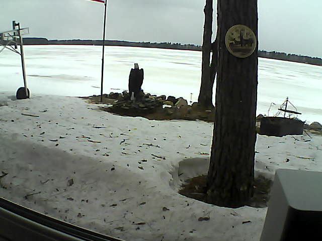Whiteface Cam Image - Thu, 04/09/2020 1:00pm 