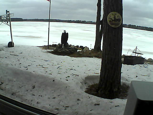 Whiteface Cam Image - Thu, 04/09/2020 2:30pm 