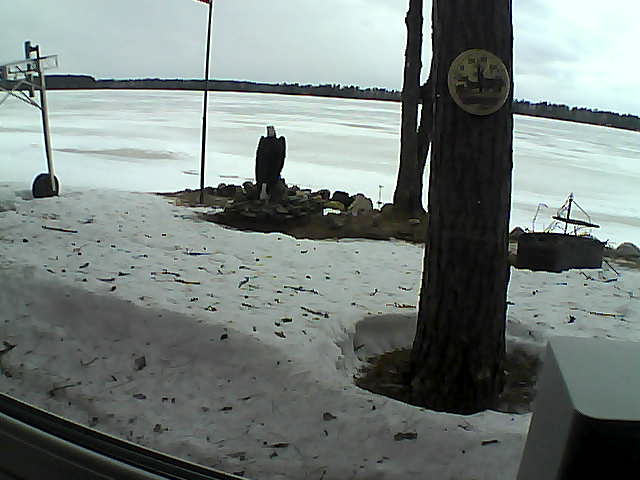 Whiteface Cam Image - Thu, 04/09/2020 4:41pm 