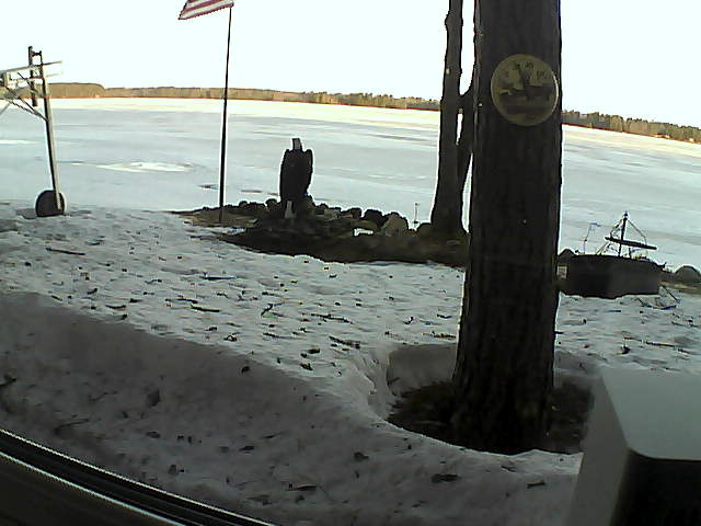 Whiteface Cam Image - Fri, 04/10/2020 6:58am 