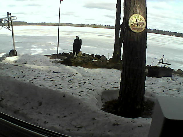 Whiteface Cam Image - Fri, 04/10/2020 9:08am 