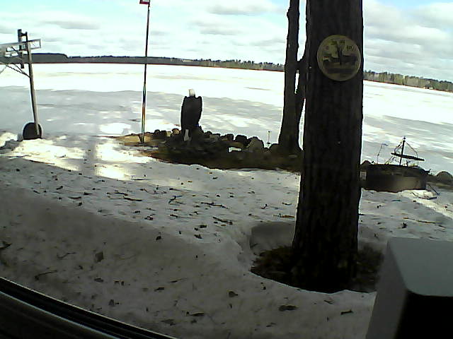 Whiteface Cam Image - Fri, 04/10/2020 9:18am 