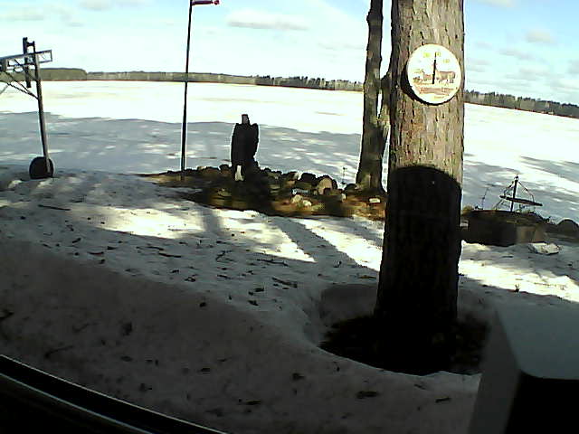 Whiteface Cam Image - Fri, 04/10/2020 9:38am 