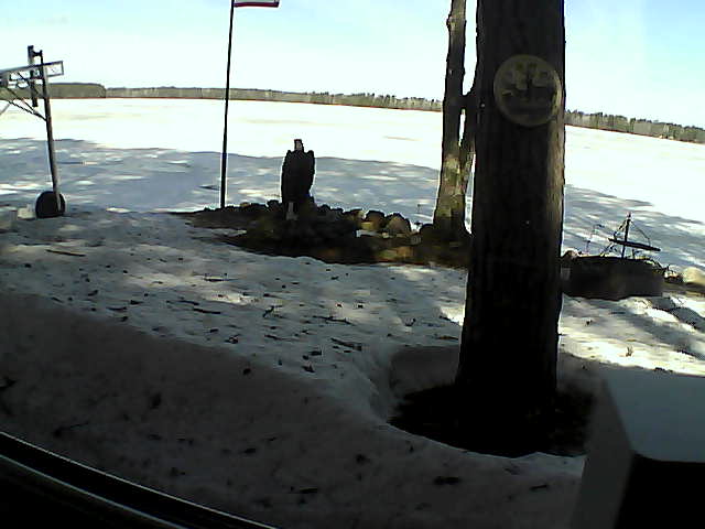 Whiteface Cam Image - Fri, 04/10/2020 9:58am 