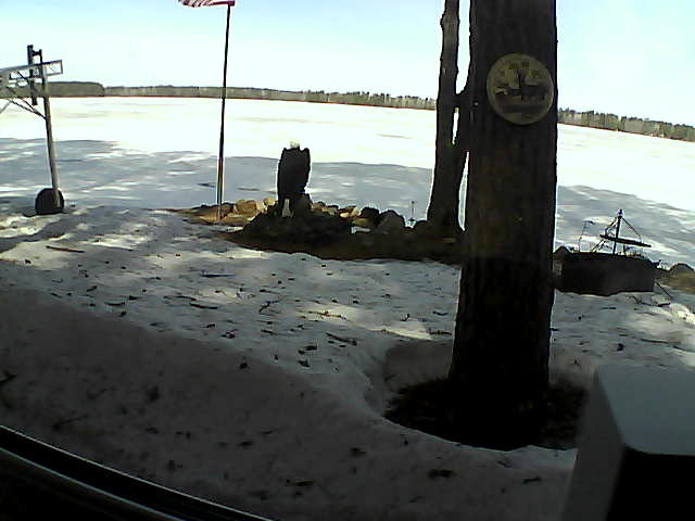 Whiteface Cam Image - Fri, 04/10/2020 10:18am 