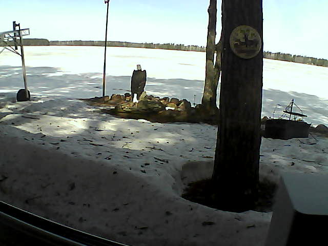 Whiteface Cam Image - Fri, 04/10/2020 10:28am 