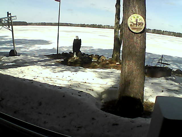 Whiteface Cam Image - Fri, 04/10/2020 11:28am 