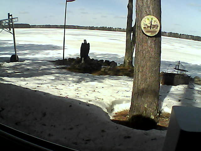 Whiteface Cam Image - Fri, 04/10/2020 11:49am 