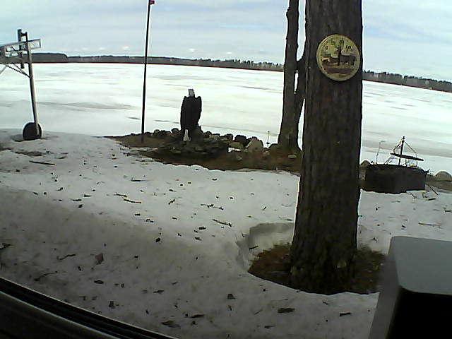 Whiteface Cam Image - Sat, 04/11/2020 11:38am 