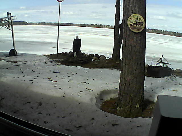 Whiteface Cam Image - Sat, 04/11/2020 12:28pm 