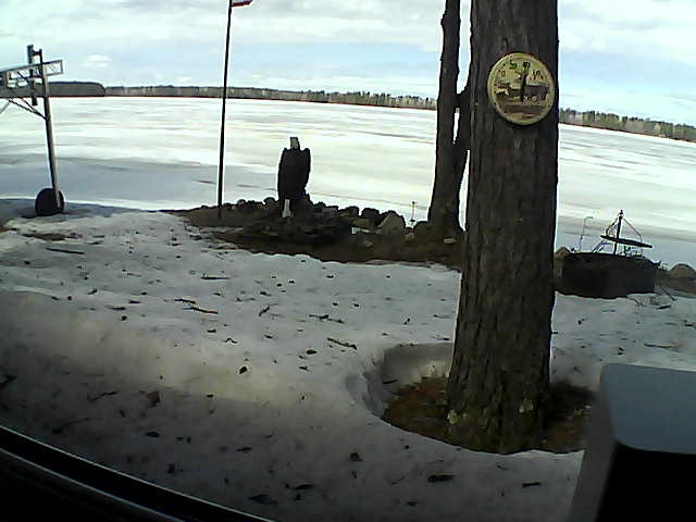 Whiteface Cam Image - Sat, 04/11/2020 12:48pm 