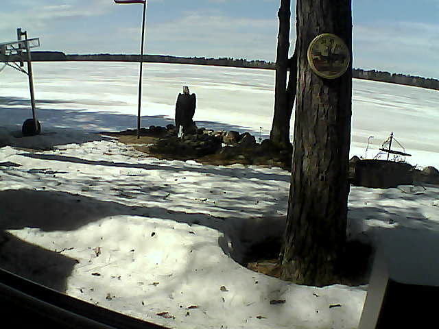 Whiteface Cam Image - Sat, 04/11/2020 2:08pm 