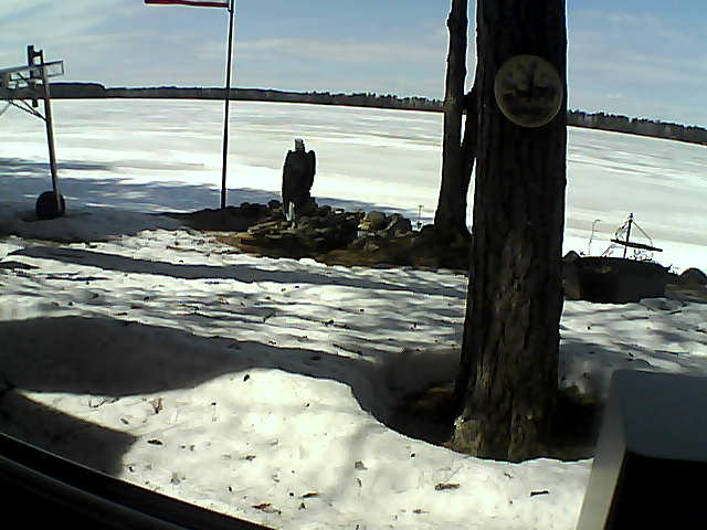 Whiteface Cam Image - Sat, 04/11/2020 2:18pm 
