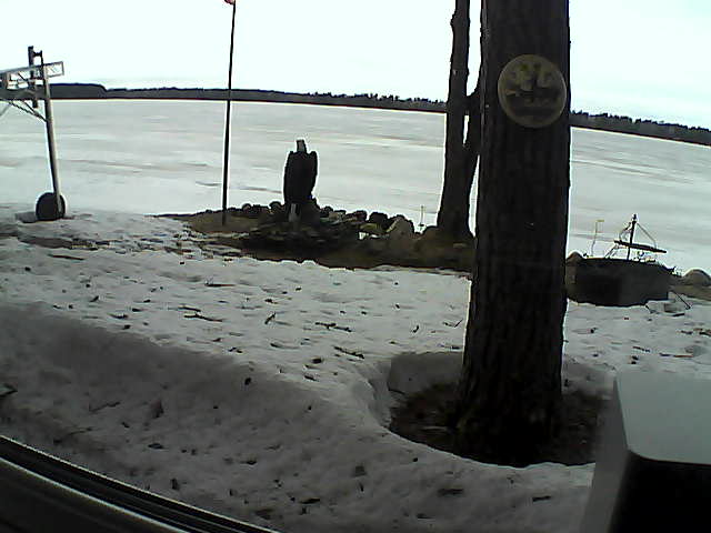 Whiteface Cam Image - Sat, 04/11/2020 4:48pm 