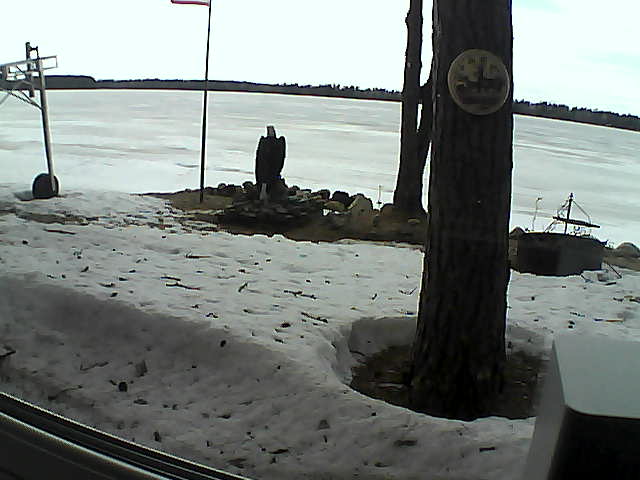 Whiteface Cam Image - Sat, 04/11/2020 5:18pm 