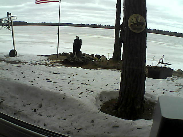 Whiteface Cam Image - Sun, 04/12/2020 11:06am 