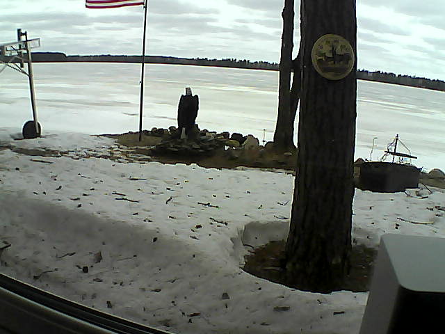 Whiteface Cam Image - Sun, 04/12/2020 11:36am 
