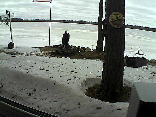 Whiteface Cam Image - Sun, 04/12/2020 11:46am 