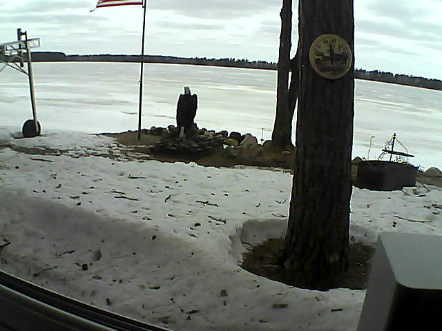 Whiteface Cam Image - Sun, 04/12/2020 12:46pm 