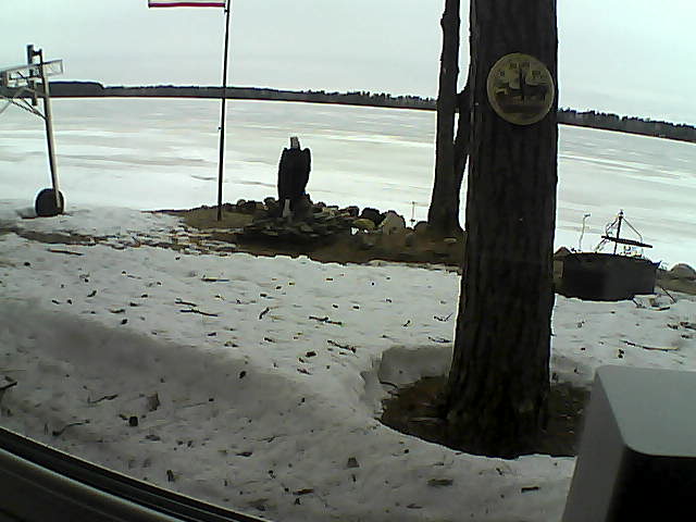 Whiteface Cam Image - Sun, 04/12/2020 2:46pm 