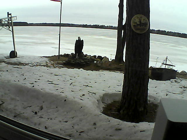 Whiteface Cam Image - Sun, 04/12/2020 3:16pm 