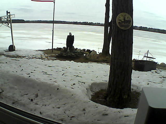 Whiteface Cam Image - Sun, 04/12/2020 3:36pm 