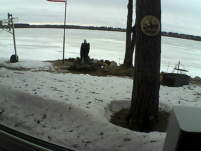 Whiteface Cam Image - Sun, 04/12/2020 5:46pm 