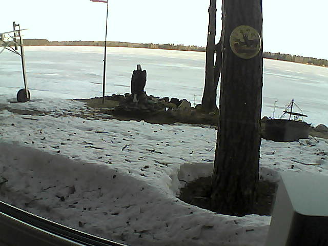 Whiteface Cam Image - Mon, 04/13/2020 7:03am 