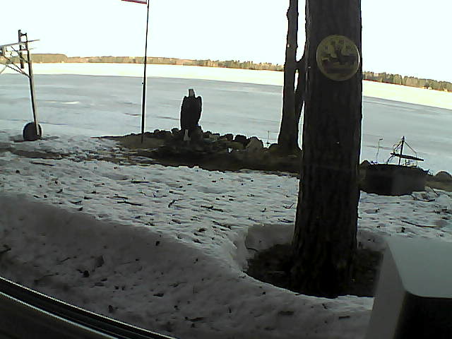 Whiteface Cam Image - Mon, 04/13/2020 7:23am 