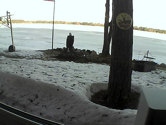 Whiteface Cam Image - Mon, 04/13/2020 7:33am 