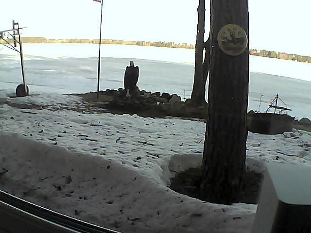 Whiteface Cam Image - Mon, 04/13/2020 8:03am 