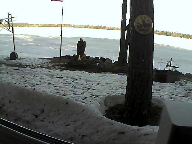 Whiteface Cam Image - Mon, 04/13/2020 8:13am 