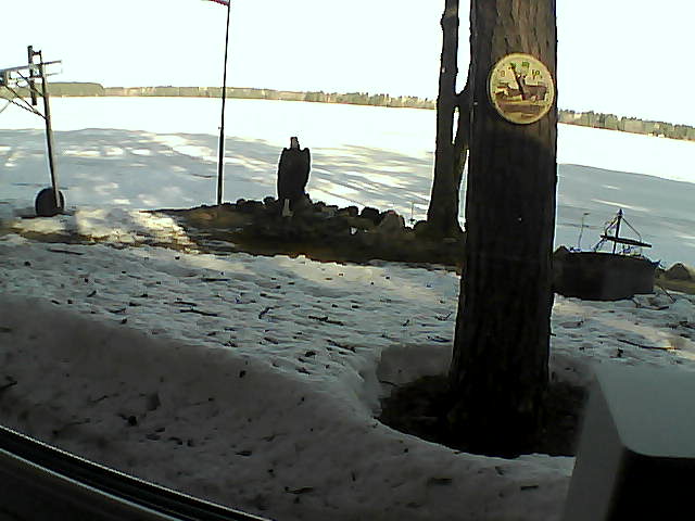 Whiteface Cam Image - Mon, 04/13/2020 8:43am 