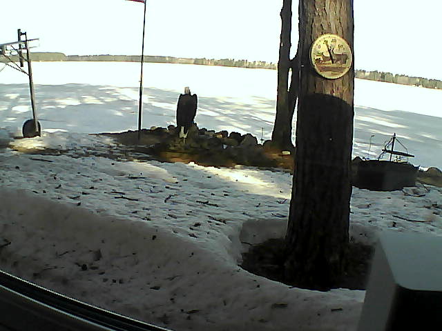 Whiteface Cam Image - Mon, 04/13/2020 8:53am 