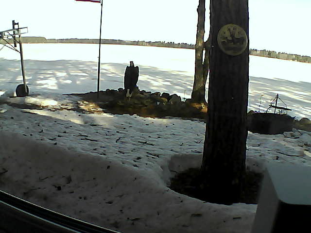 Whiteface Cam Image - Mon, 04/13/2020 9:03am 