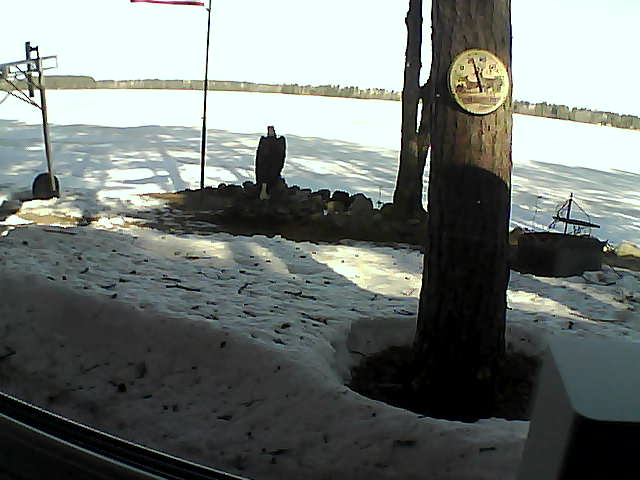 Whiteface Cam Image - Mon, 04/13/2020 9:13am 