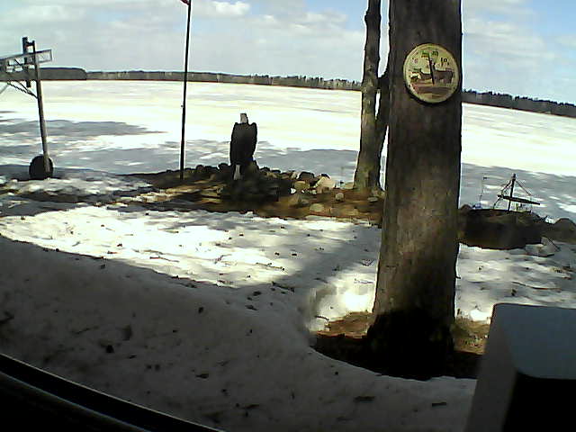 Whiteface Cam Image - Mon, 04/13/2020 11:23am 