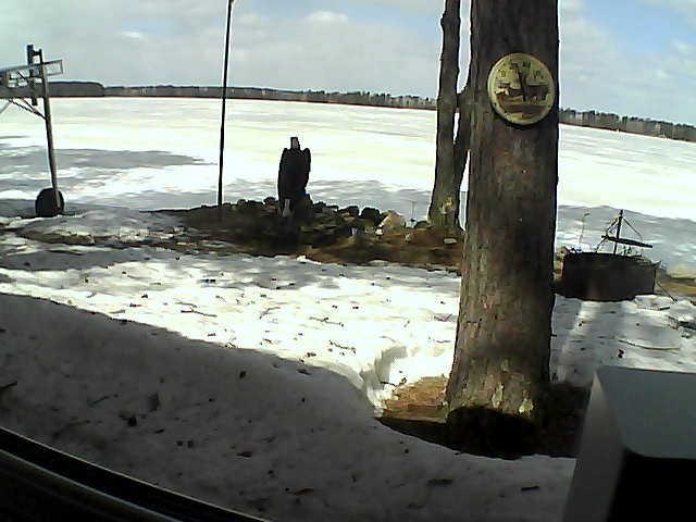 Whiteface Cam Image - Mon, 04/13/2020 11:43am 