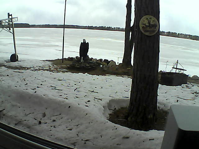 Whiteface Cam Image - Mon, 04/13/2020 12:33pm 