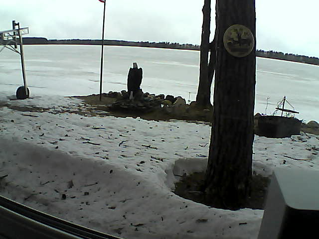 Whiteface Cam Image - Mon, 04/13/2020 12:54pm 